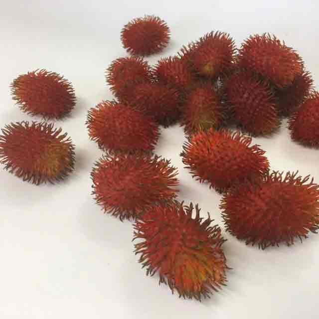 FRUIT, Artificial - Rambutan